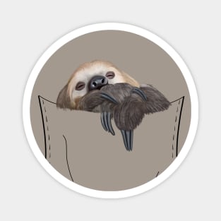 Peeking Pocket Pet - Sleepy Sloth Magnet